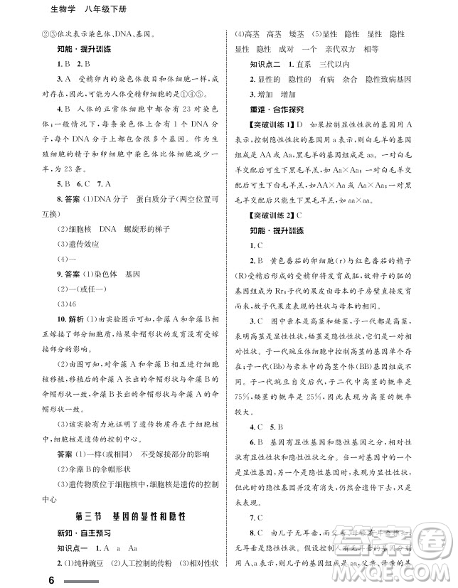 甘肅教育出版社2024年春配套綜合練習(xí)八年級(jí)生物下冊(cè)人教版參考答案