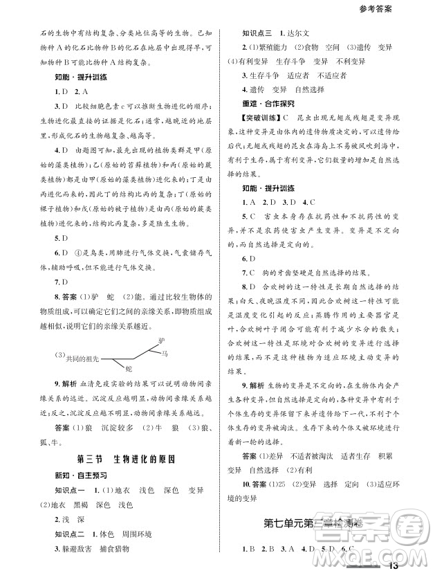 甘肅教育出版社2024年春配套綜合練習(xí)八年級(jí)生物下冊(cè)人教版參考答案