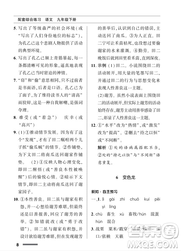 北京師范大學(xué)出版社2024年春配套綜合練習(xí)九年級(jí)語(yǔ)文下冊(cè)人教版參考答案