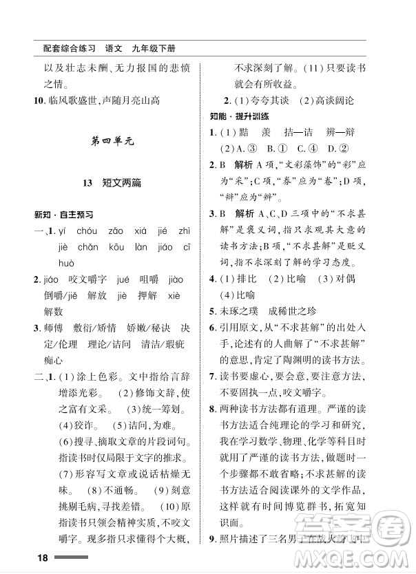 北京師范大學(xué)出版社2024年春配套綜合練習(xí)九年級(jí)語(yǔ)文下冊(cè)人教版參考答案