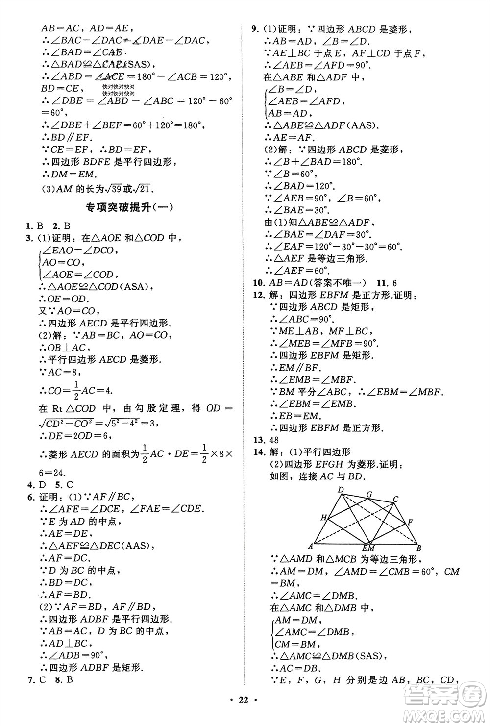 山東教育出版社2024年春初中同步練習冊分層卷八年級數(shù)學下冊通用版參考答案