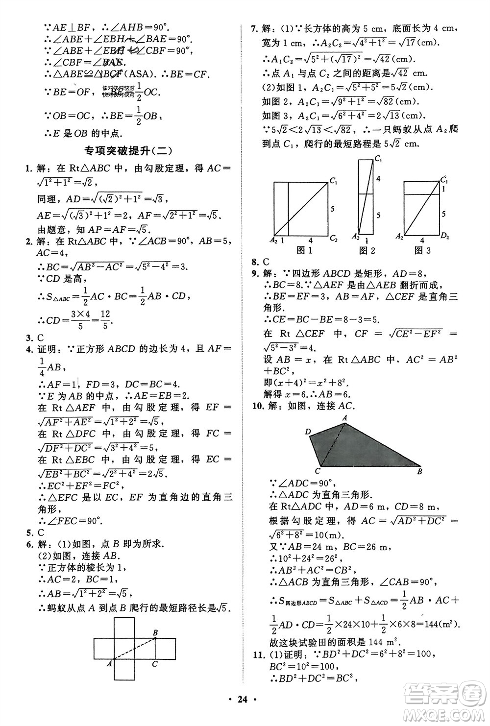 山東教育出版社2024年春初中同步練習冊分層卷八年級數(shù)學下冊通用版參考答案