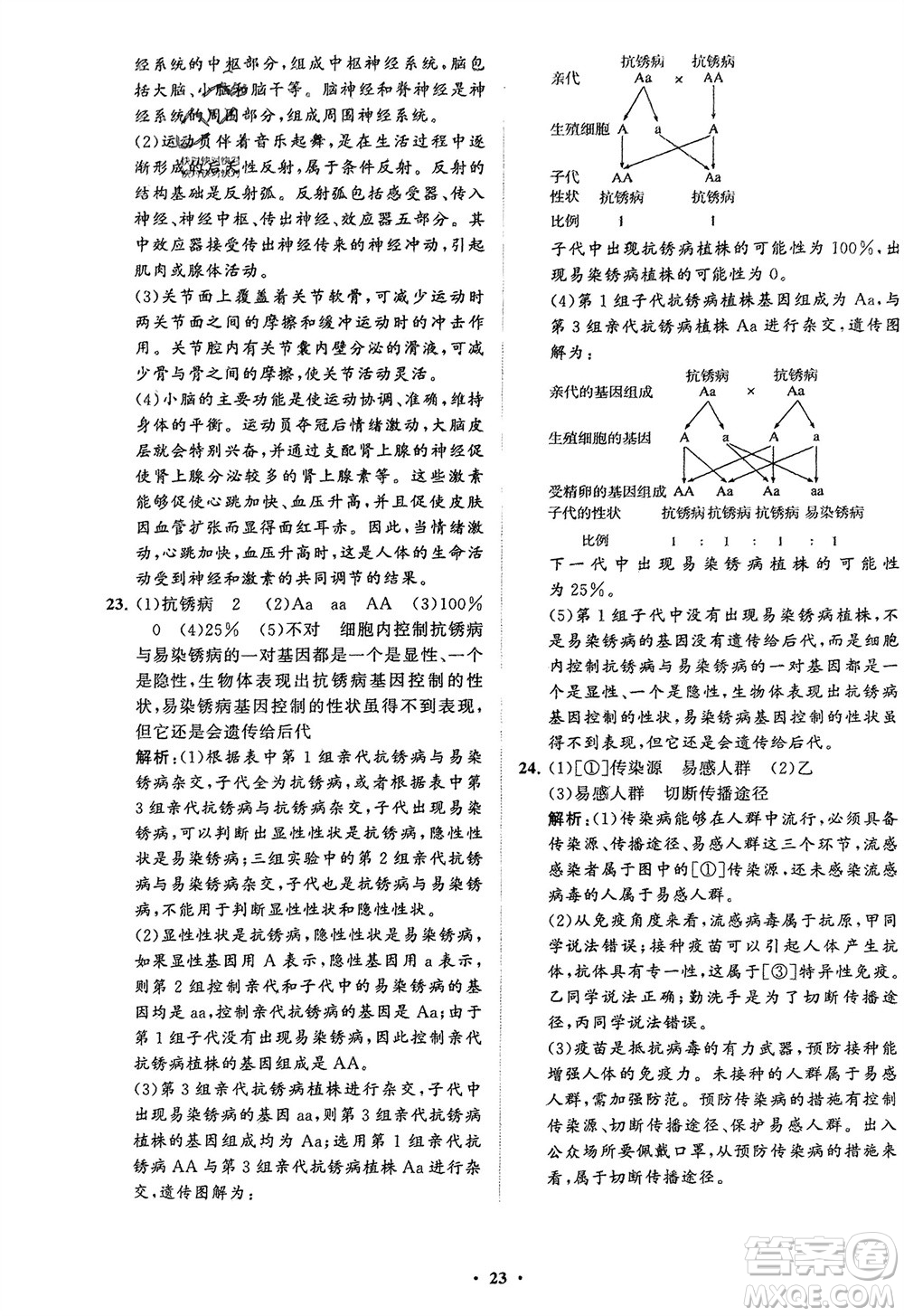 山東教育出版社2024年春初中同步練習冊分層卷八年級生物下冊五四學(xué)制魯科版參考答案