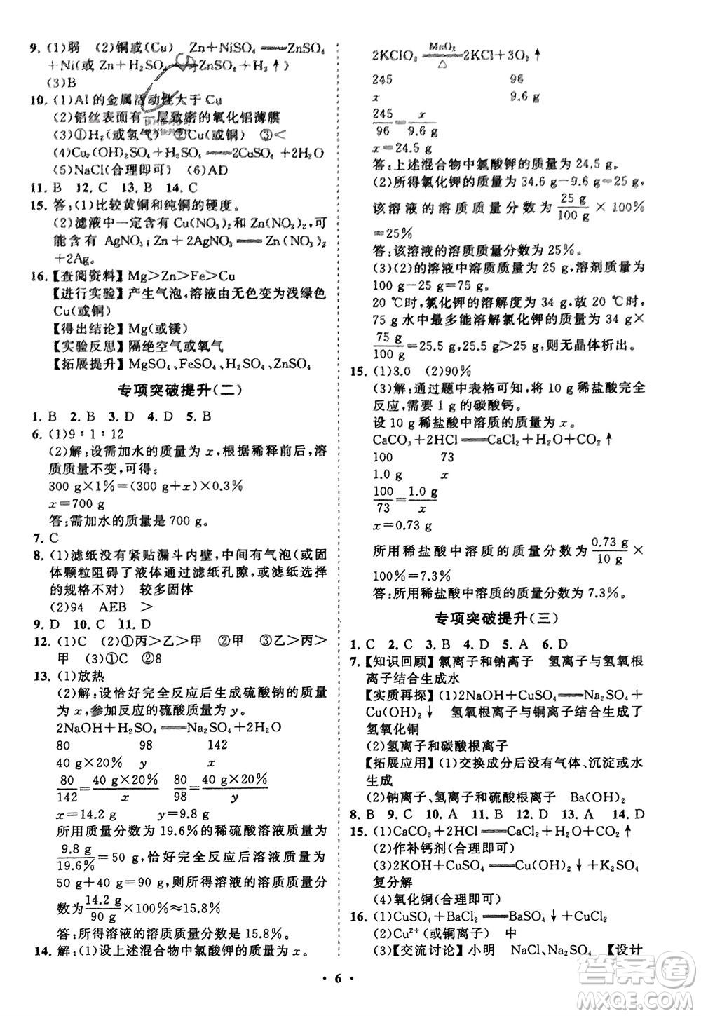 山東教育出版社2024年春初中同步練習(xí)冊(cè)分層卷九年級(jí)化學(xué)下冊(cè)人教版參考答案