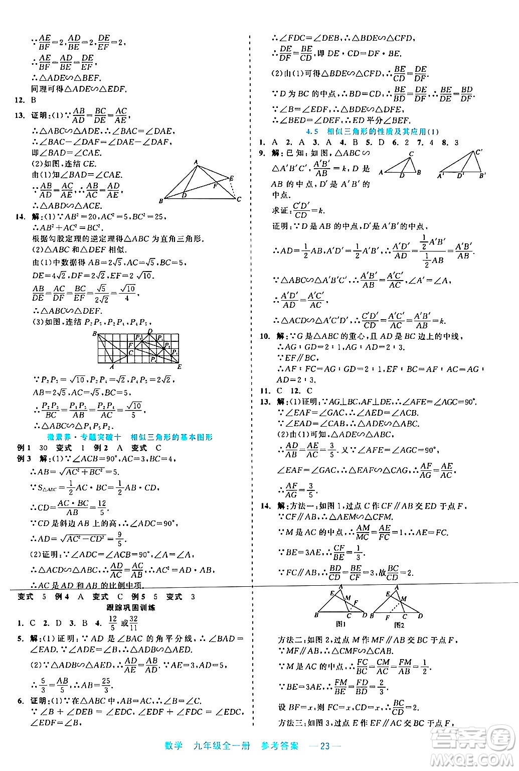 浙江工商大學(xué)出版社2024年春精彩練習(xí)就練這一本九年級數(shù)學(xué)下冊通用版答案