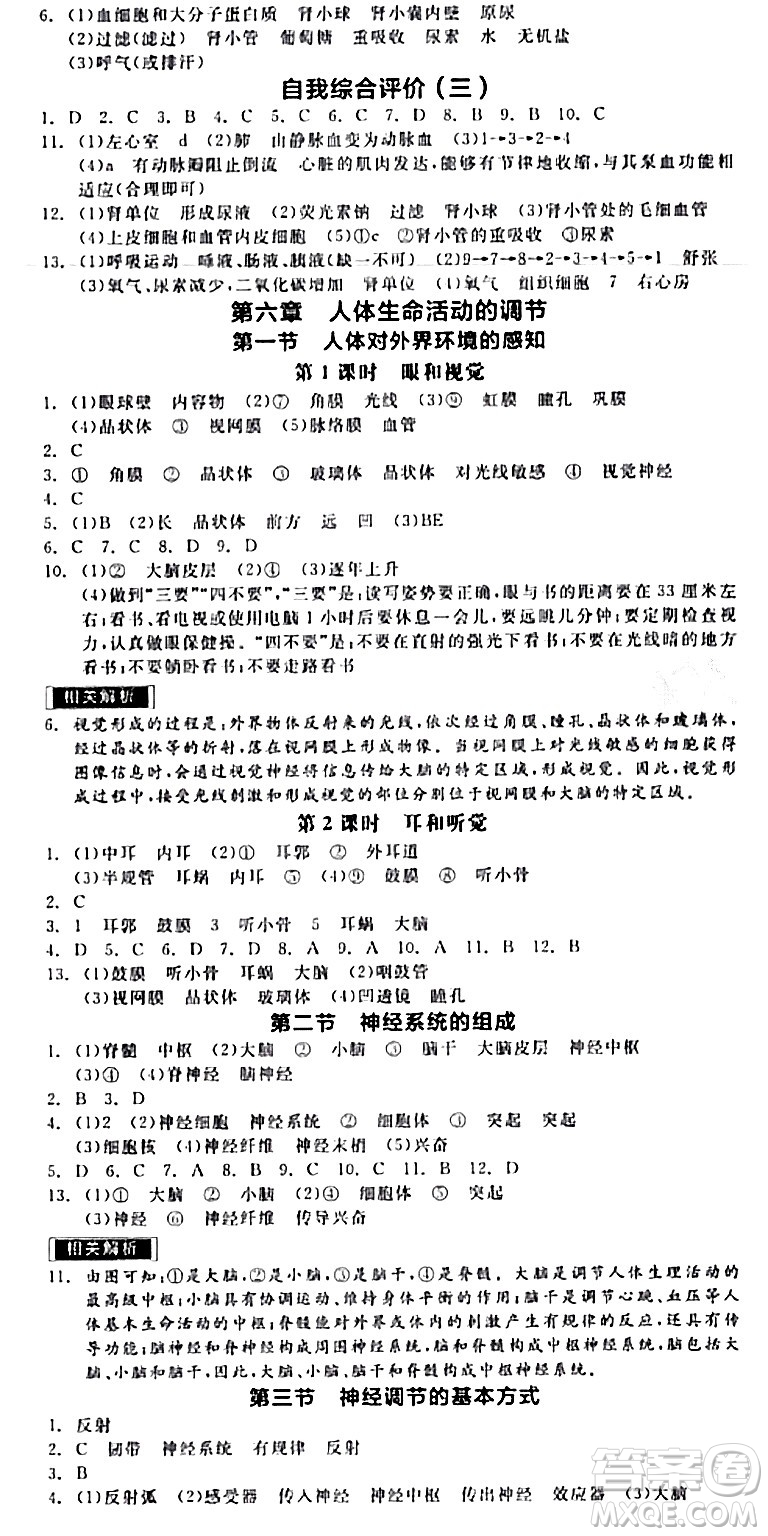 陽光出版社2024年春全品作業(yè)本七年級生物下冊人教版內(nèi)蒙古專版答案