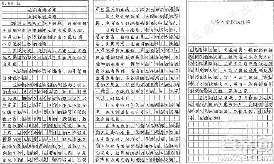 鈴鐺刺材料作文800字 關(guān)于鈴鐺刺的材料作文800字