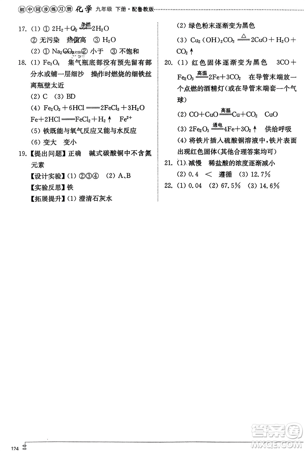 山東教育出版社2024年春初中同步練習(xí)冊九年級化學(xué)下冊魯教版參考答案