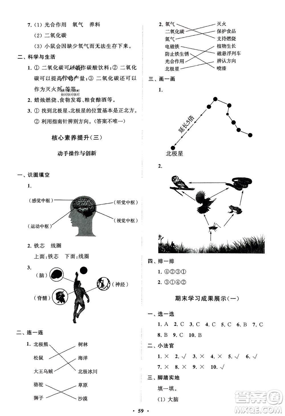 山東教育出版社2024年春小學(xué)同步練習(xí)冊分層指導(dǎo)五年級科學(xué)下冊通用版參考答案