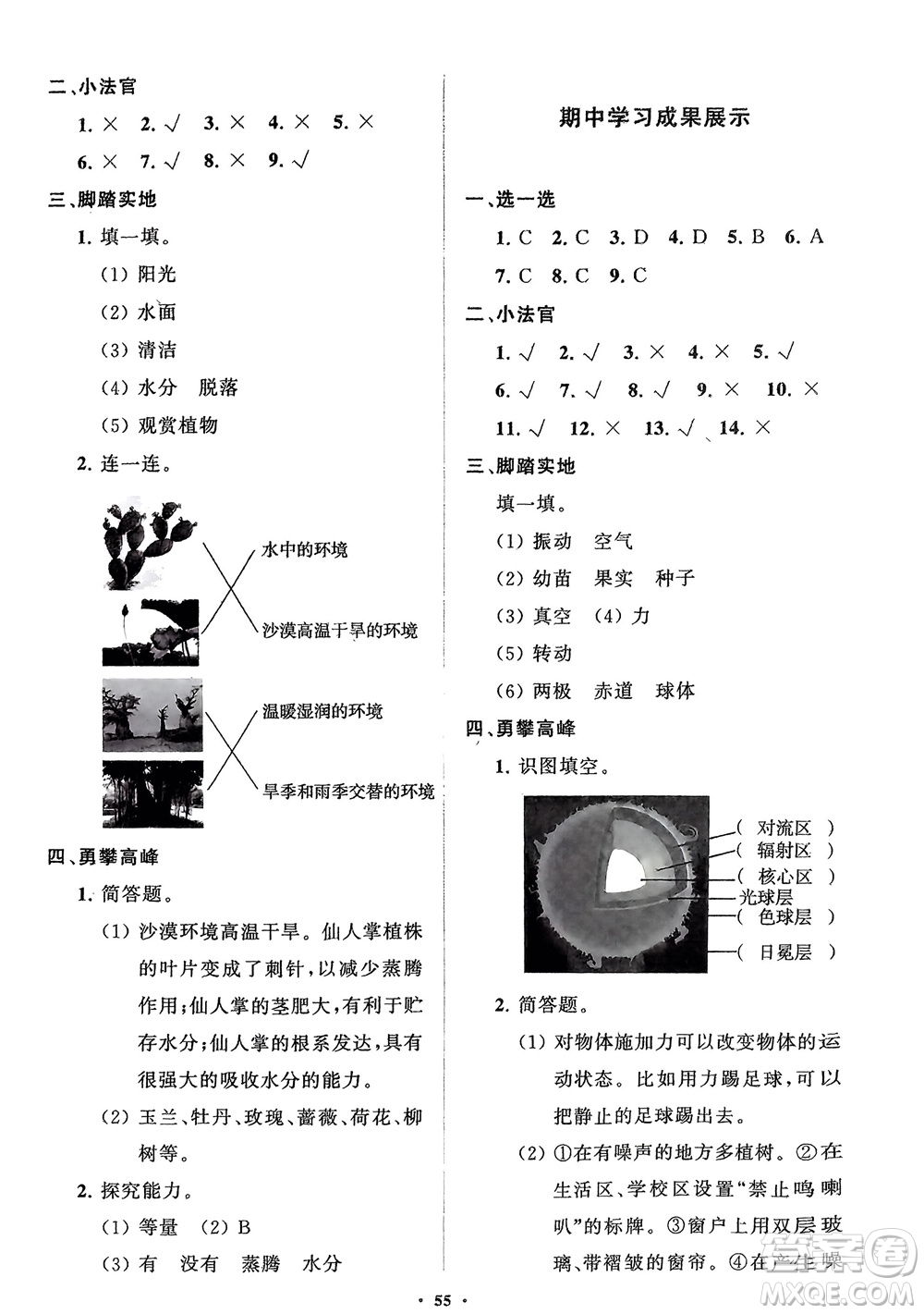 山東教育出版社2024年春小學(xué)同步練習(xí)冊分層指導(dǎo)四年級科學(xué)下冊通用版參考答案