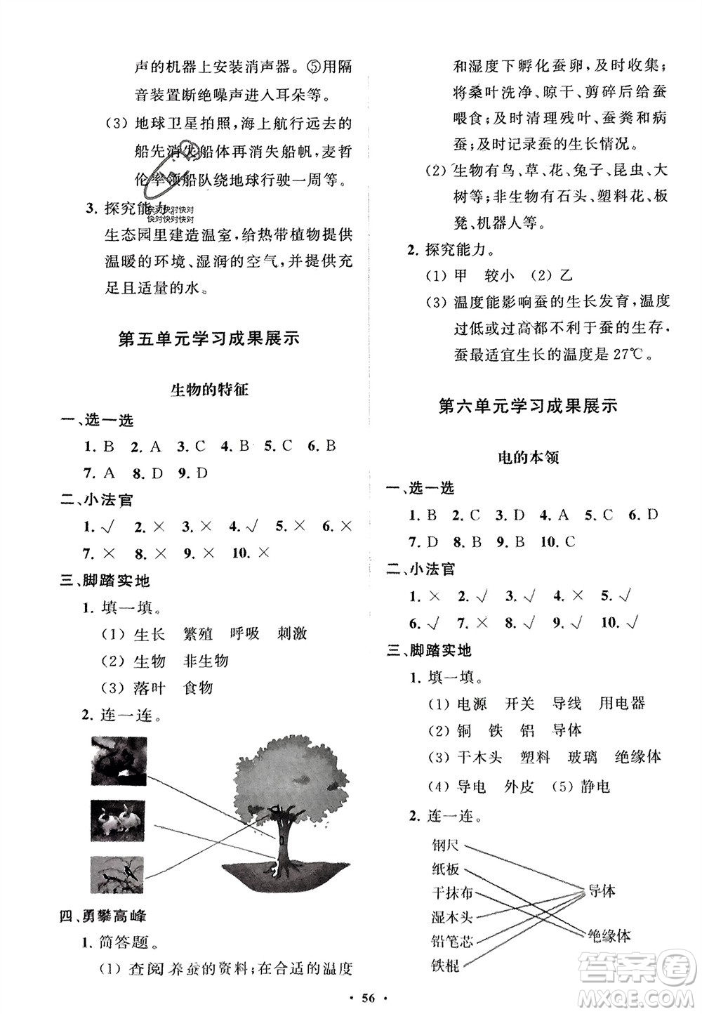 山東教育出版社2024年春小學(xué)同步練習(xí)冊分層指導(dǎo)四年級科學(xué)下冊通用版參考答案