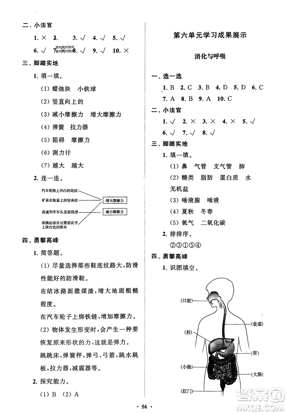 山東教育出版社2024年春小學(xué)同步練習(xí)冊分層指導(dǎo)三年級科學(xué)下冊通用版參考答案