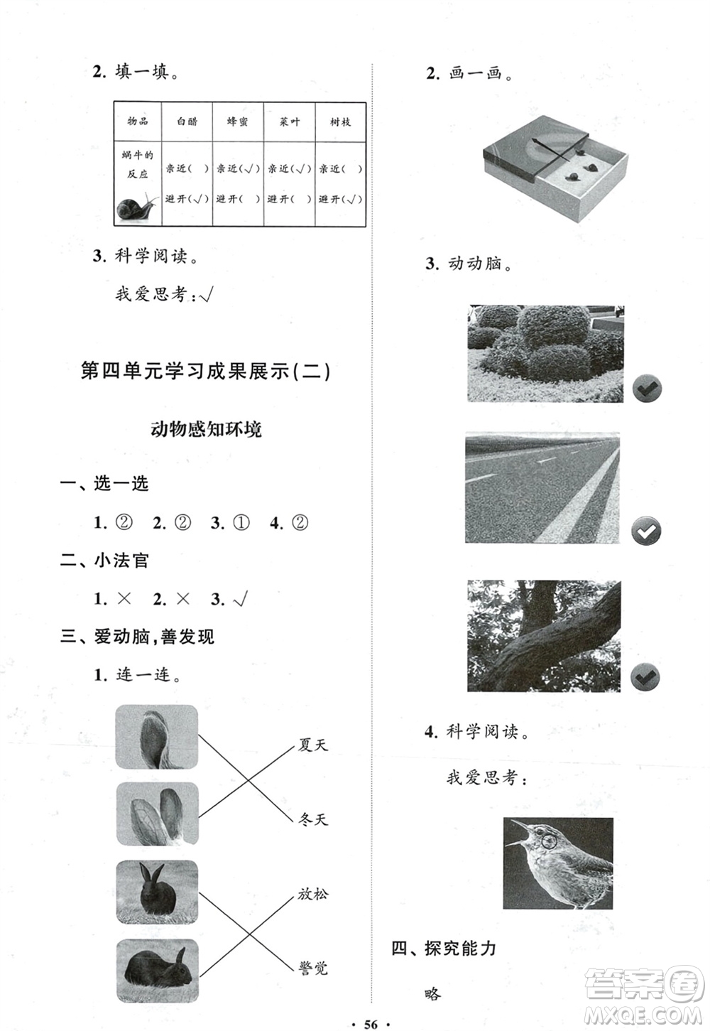 山東教育出版社2024年春小學(xué)同步練習(xí)冊分層指導(dǎo)二年級科學(xué)下冊五四制通用版參考答案