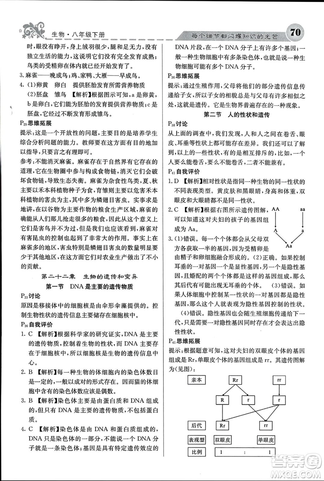 四川大學(xué)出版社2024年春課堂點睛八年級生物下冊蘇教版參考答案