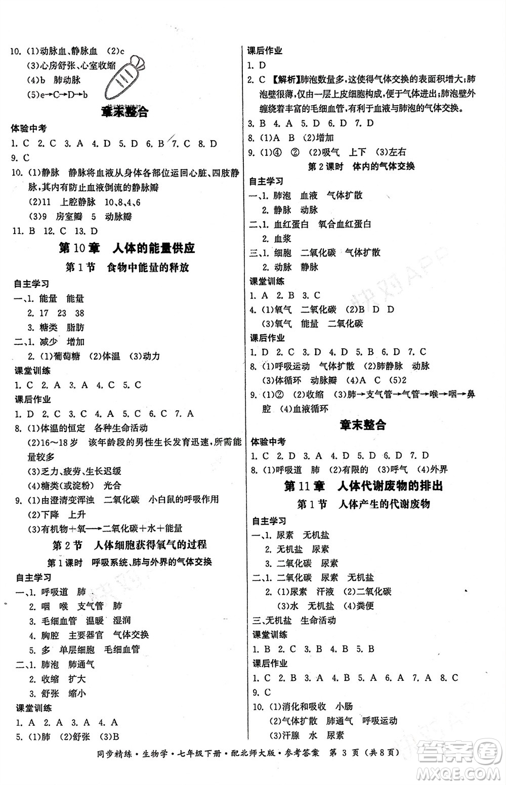 廣東人民出版社2024年春同步精練七年級生物下冊北師大版參考答案