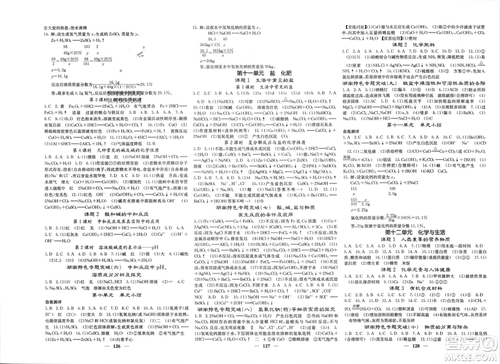 四川大學出版社2024年春課堂點睛九年級化學下冊人教版湖南專版參考答案