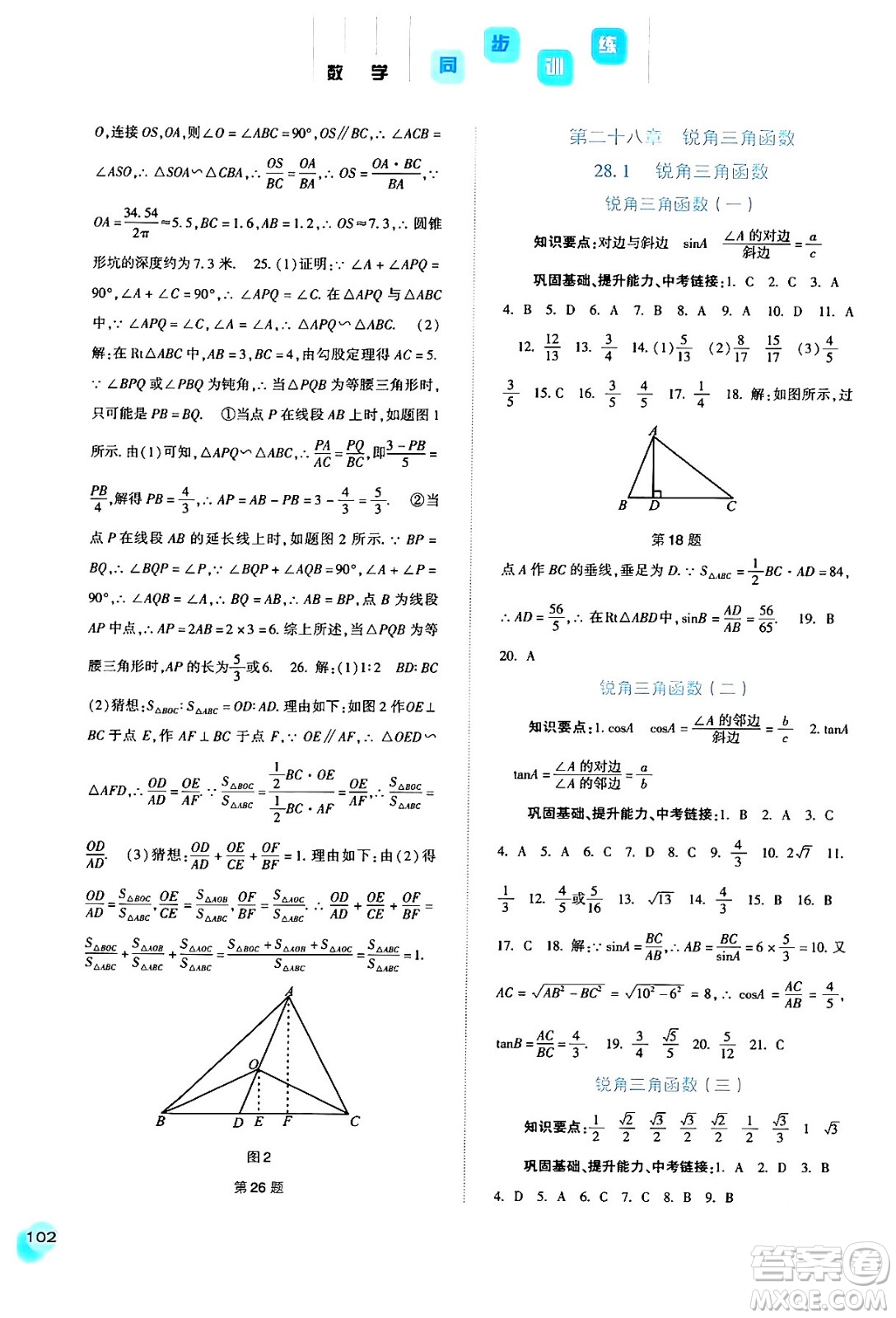 河北人民出版社2024年春同步訓(xùn)練九年級(jí)數(shù)學(xué)下冊(cè)人教版答案