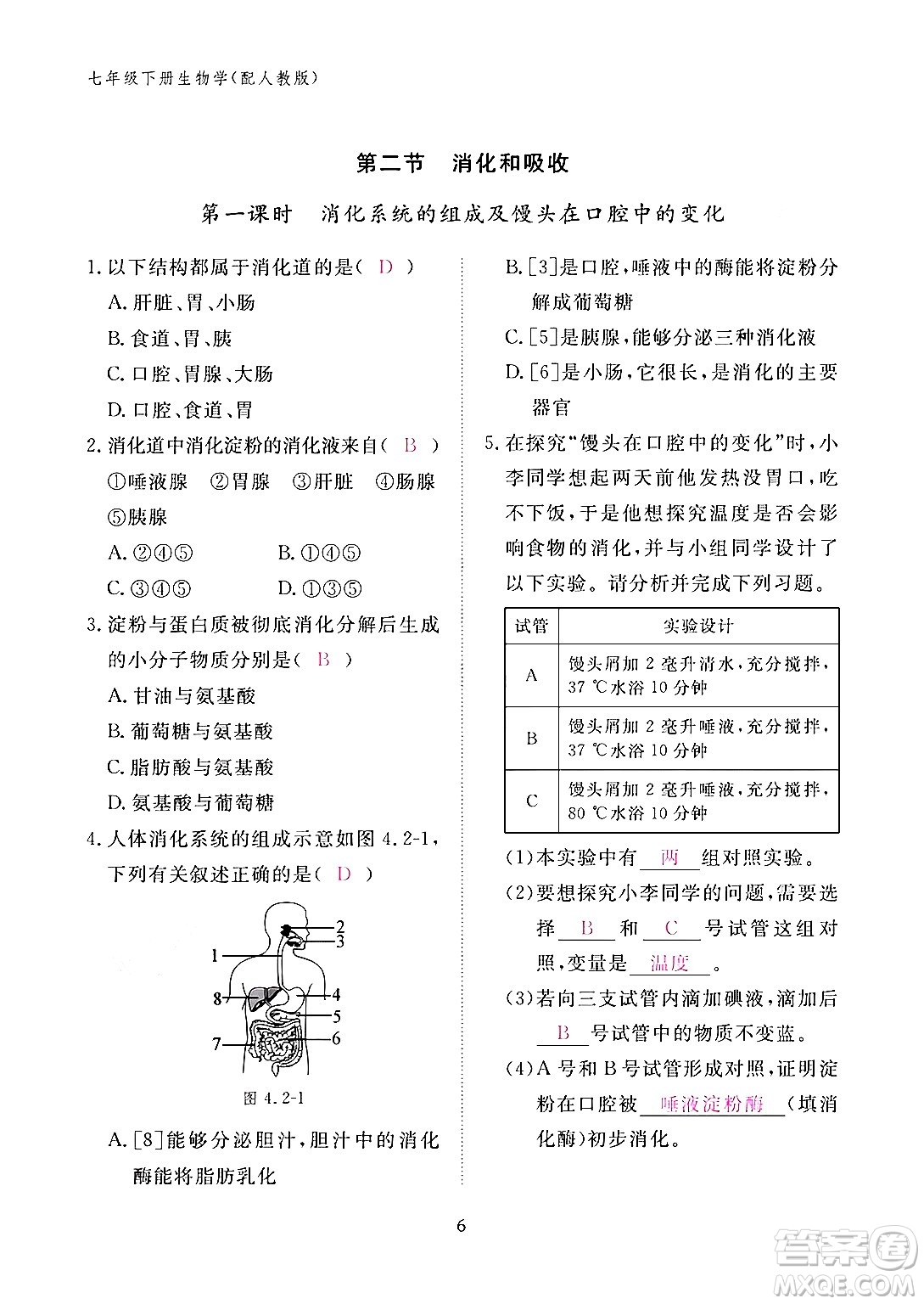 江西教育出版社2024年春生物作業(yè)本七年級生物下冊人教版答案