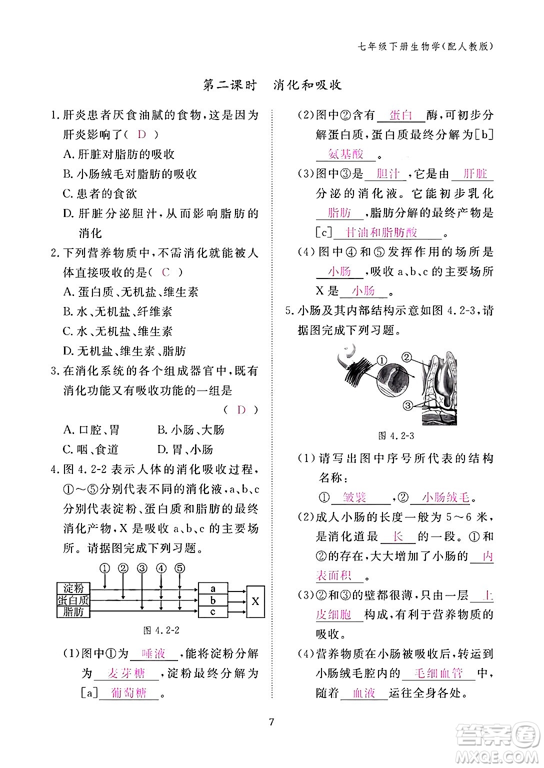 江西教育出版社2024年春生物作業(yè)本七年級生物下冊人教版答案