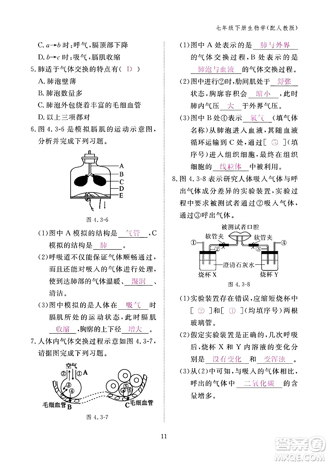 江西教育出版社2024年春生物作業(yè)本七年級生物下冊人教版答案