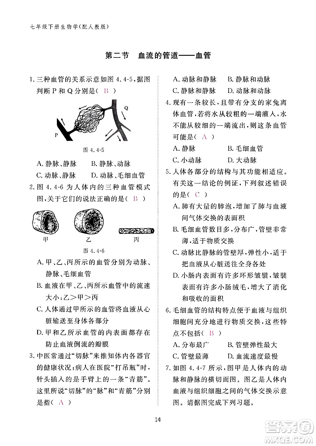 江西教育出版社2024年春生物作業(yè)本七年級生物下冊人教版答案