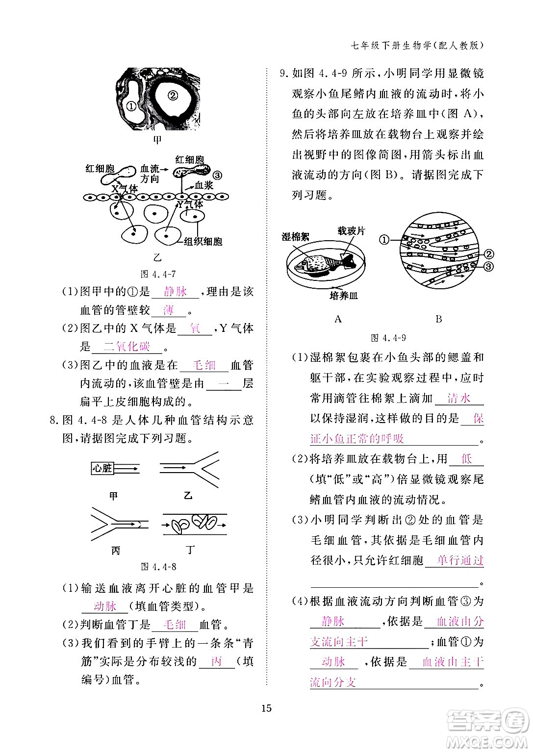 江西教育出版社2024年春生物作業(yè)本七年級生物下冊人教版答案