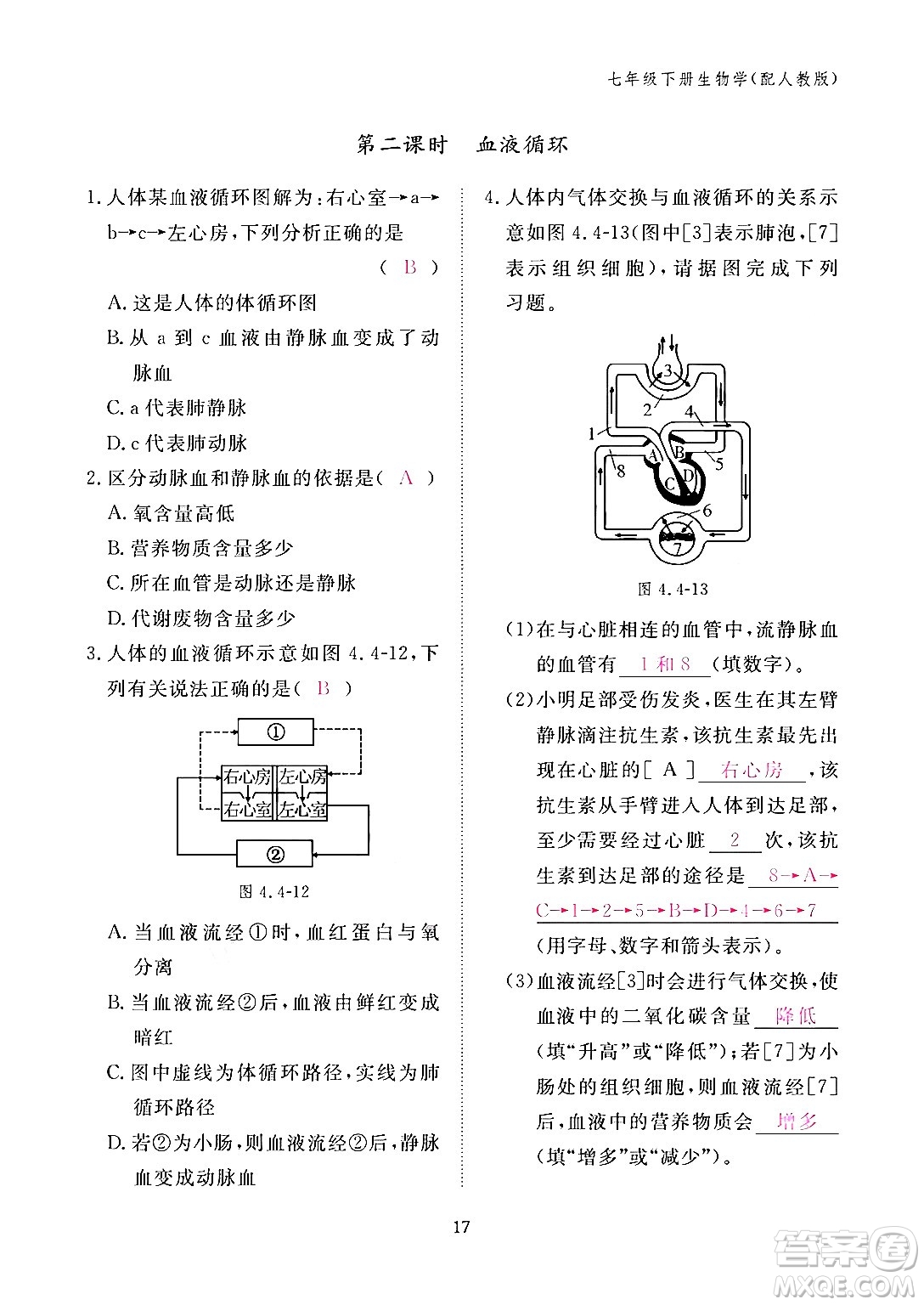 江西教育出版社2024年春生物作業(yè)本七年級生物下冊人教版答案