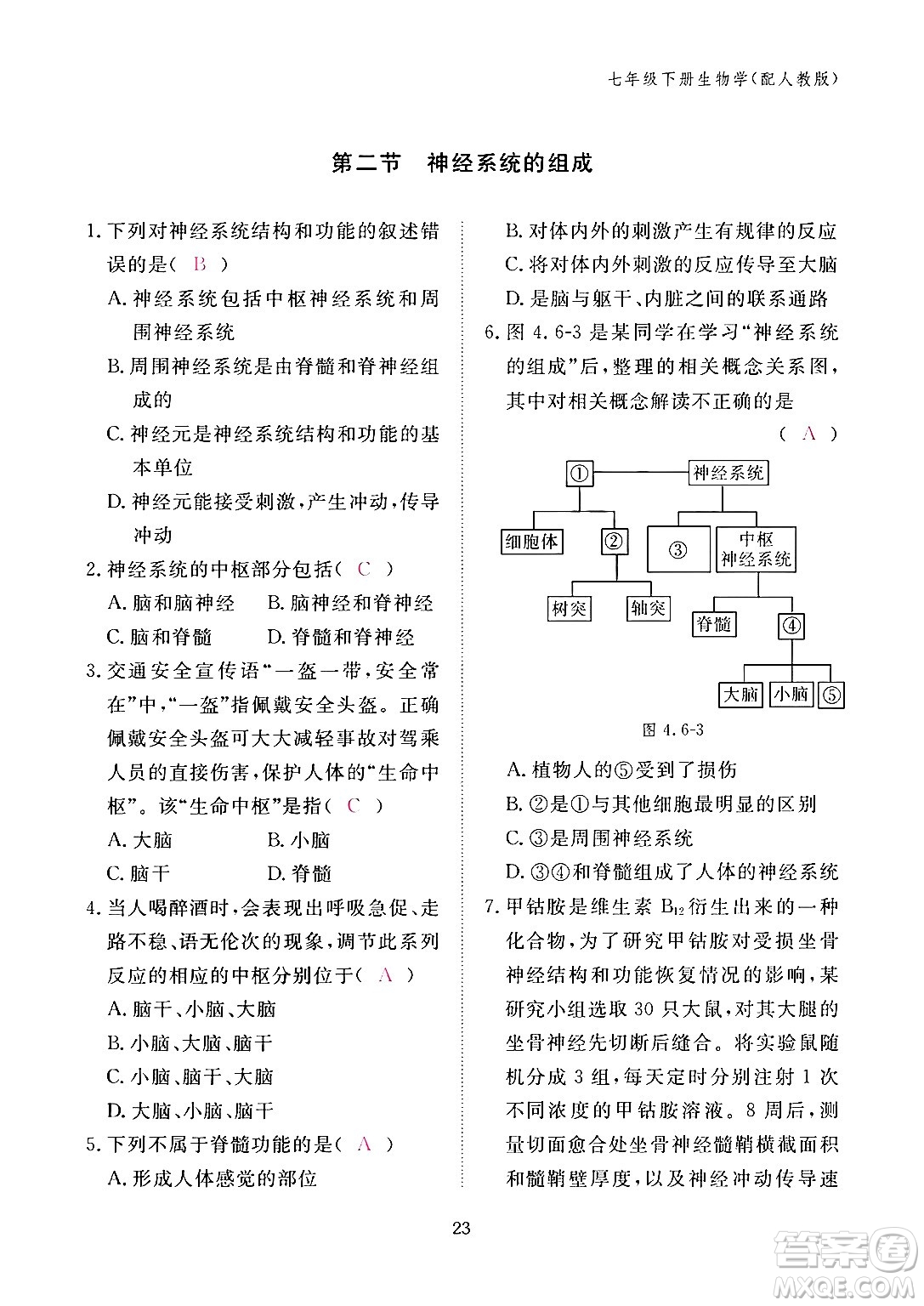 江西教育出版社2024年春生物作業(yè)本七年級生物下冊人教版答案