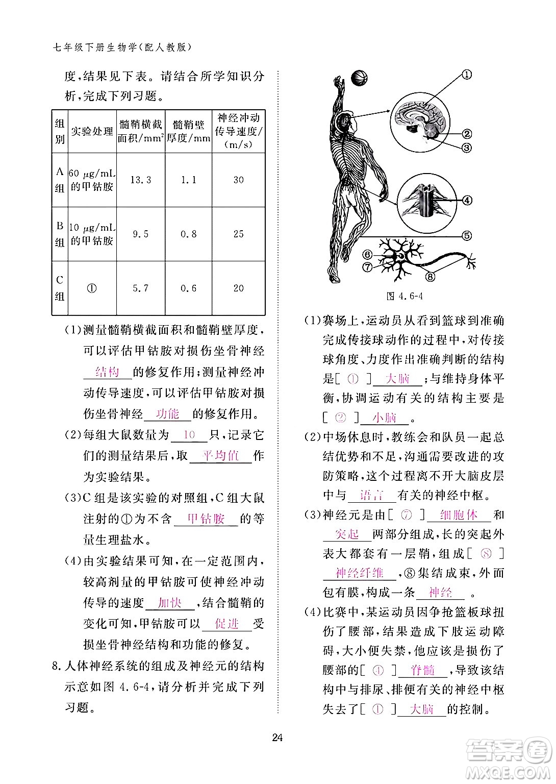 江西教育出版社2024年春生物作業(yè)本七年級生物下冊人教版答案