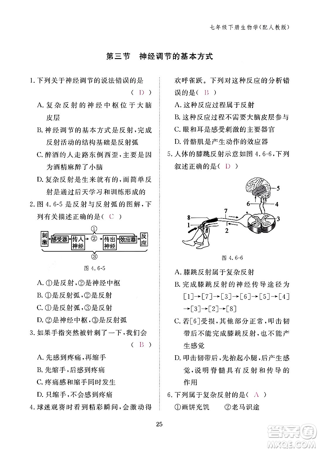 江西教育出版社2024年春生物作業(yè)本七年級生物下冊人教版答案