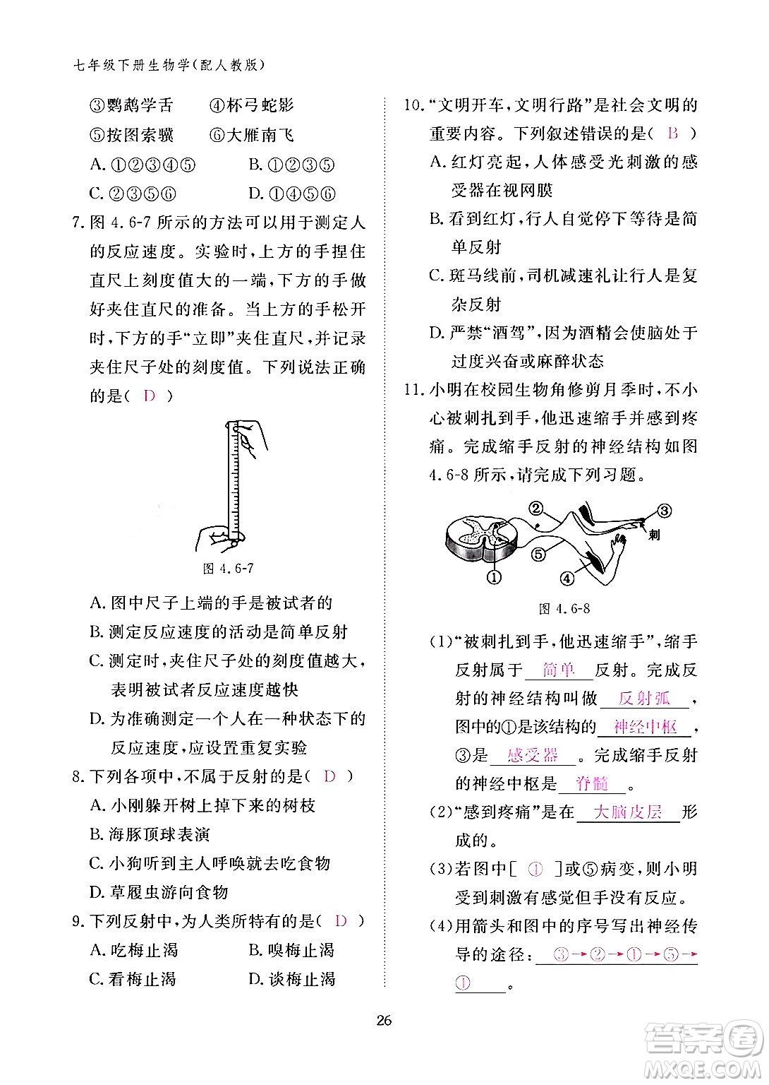 江西教育出版社2024年春生物作業(yè)本七年級生物下冊人教版答案