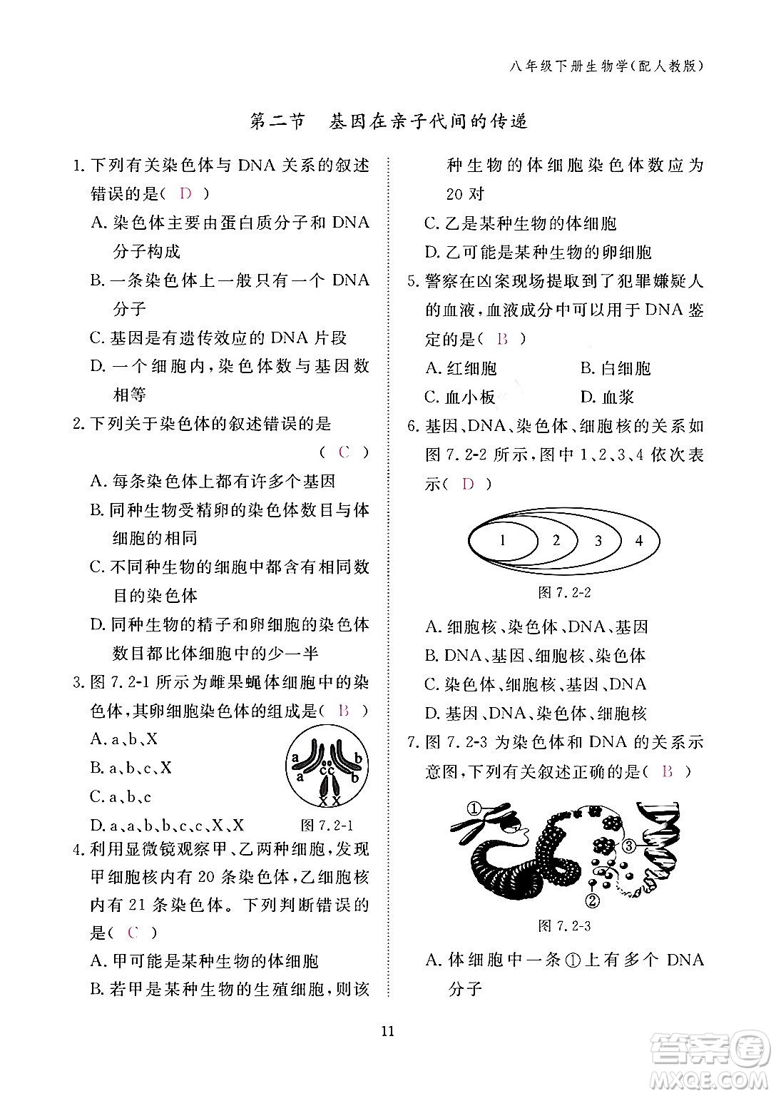 江西教育出版社2024年春生物作業(yè)本八年級生物下冊人教版答案