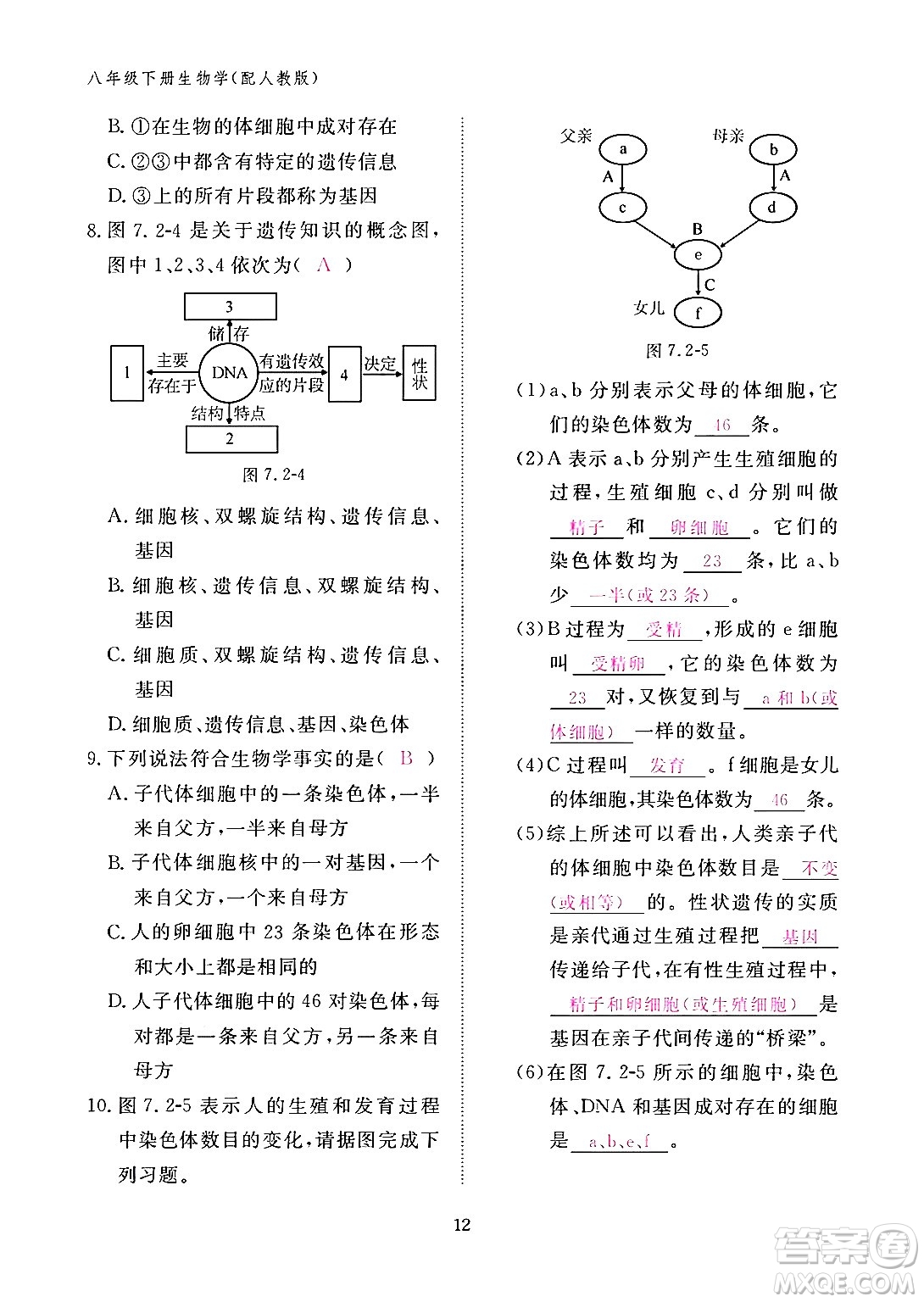 江西教育出版社2024年春生物作業(yè)本八年級生物下冊人教版答案