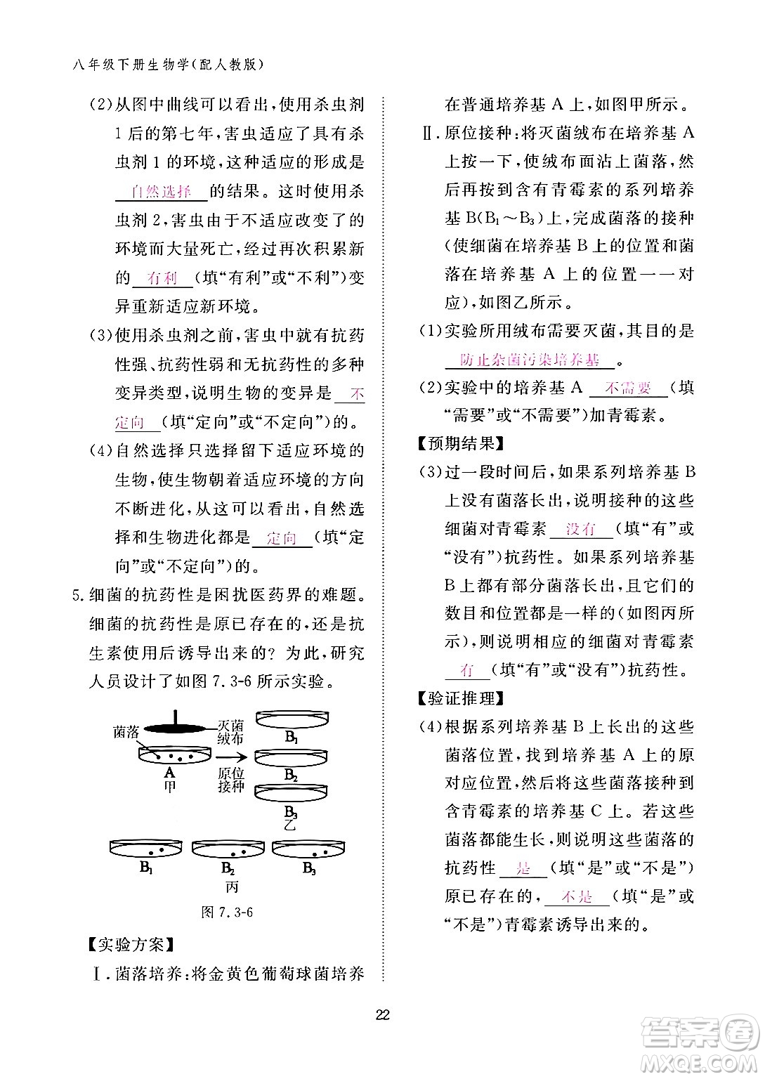 江西教育出版社2024年春生物作業(yè)本八年級生物下冊人教版答案