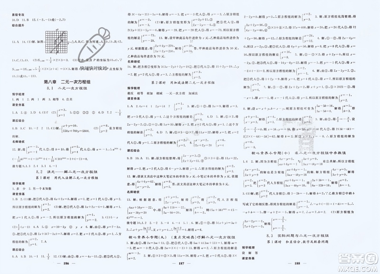 長江少年兒童出版社2024年春名校課堂內(nèi)外七年級(jí)數(shù)學(xué)下冊(cè)人教版參考答案