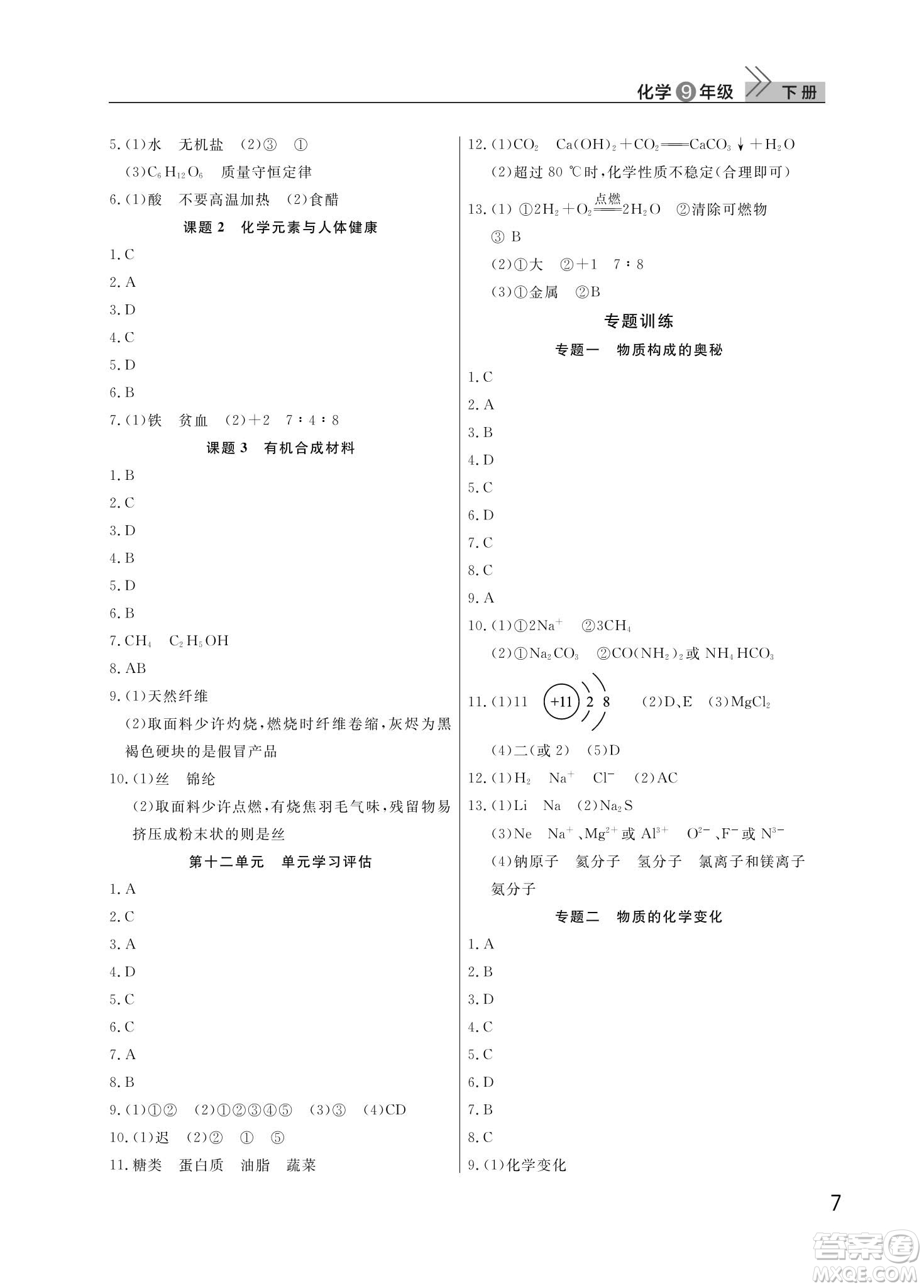 武漢出版社2024年春智慧學(xué)習(xí)天天向上課堂作業(yè)九年級化學(xué)下冊人教版答案