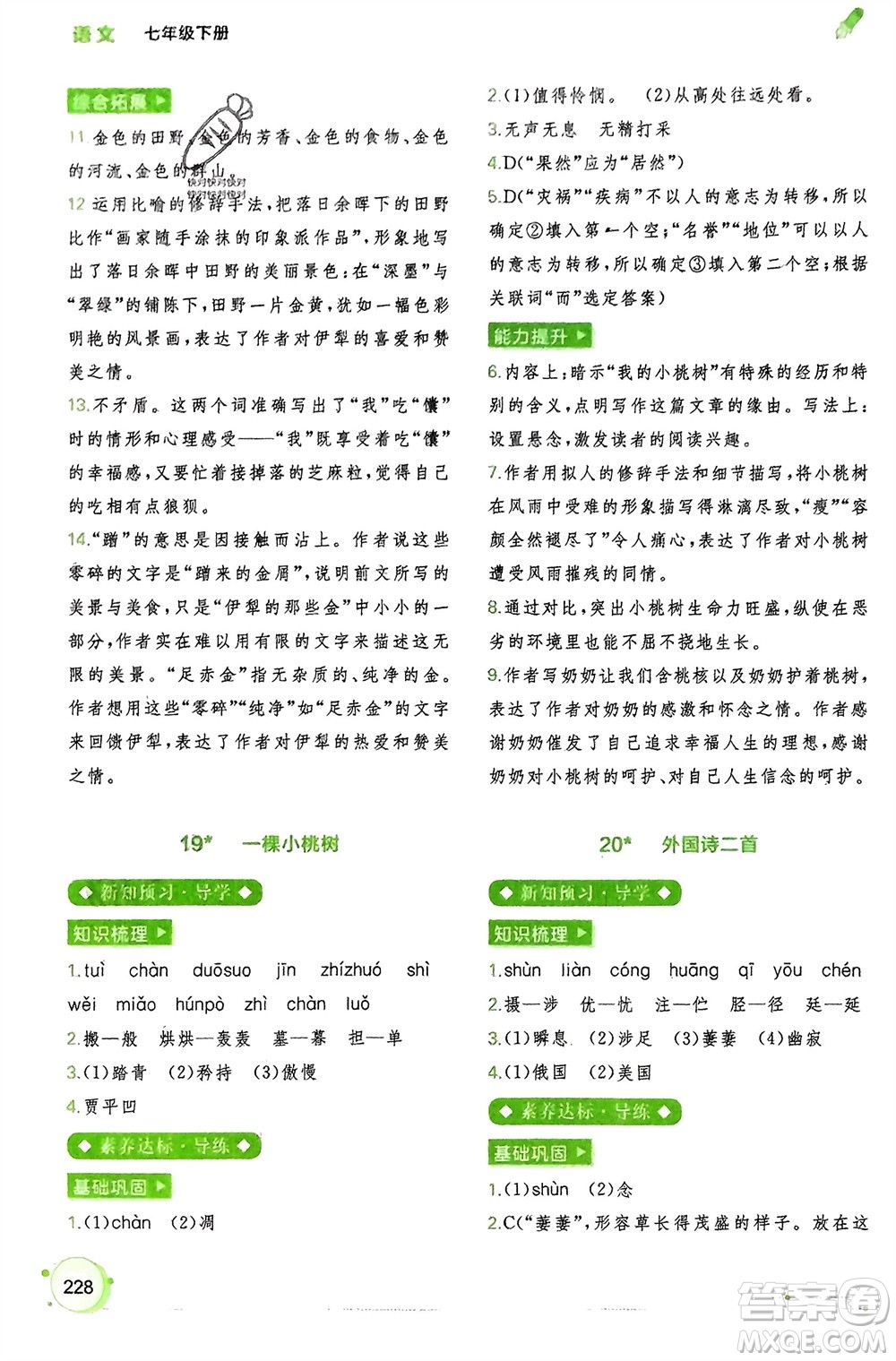 廣西師范大學(xué)出版社2024年春新課程學(xué)習(xí)與測評同步學(xué)習(xí)七年級語文下冊通用版參考答案