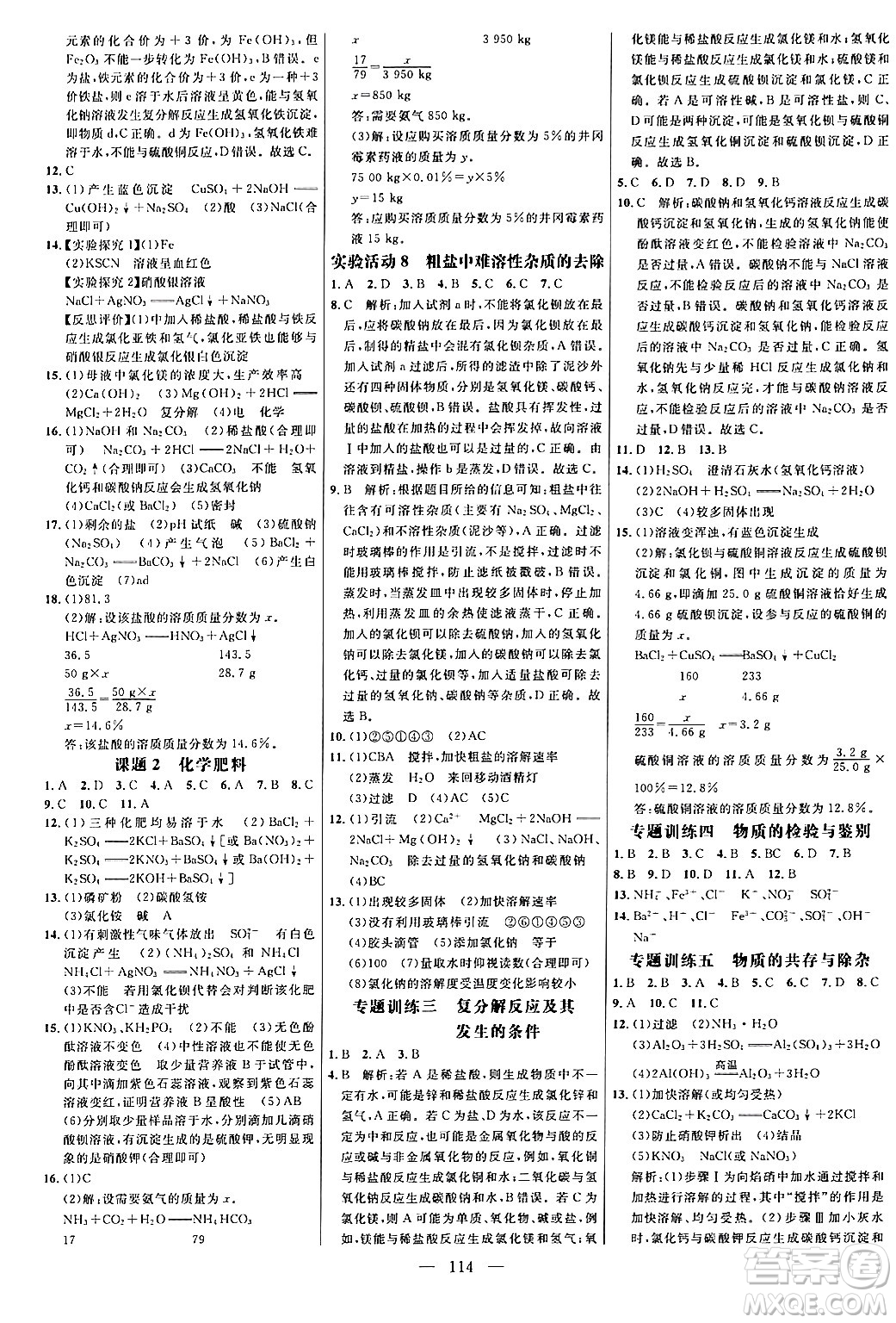 延邊大學(xué)出版社2024年春細解巧練九年級化學(xué)下冊人教版答案