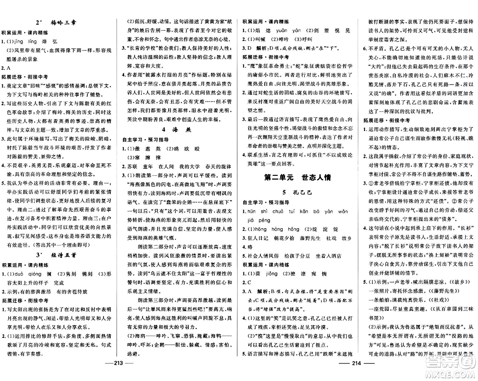 河北少年兒童出版社2024年春奪冠百分百新導(dǎo)學(xué)課時練九年級語文全一冊人教版答案