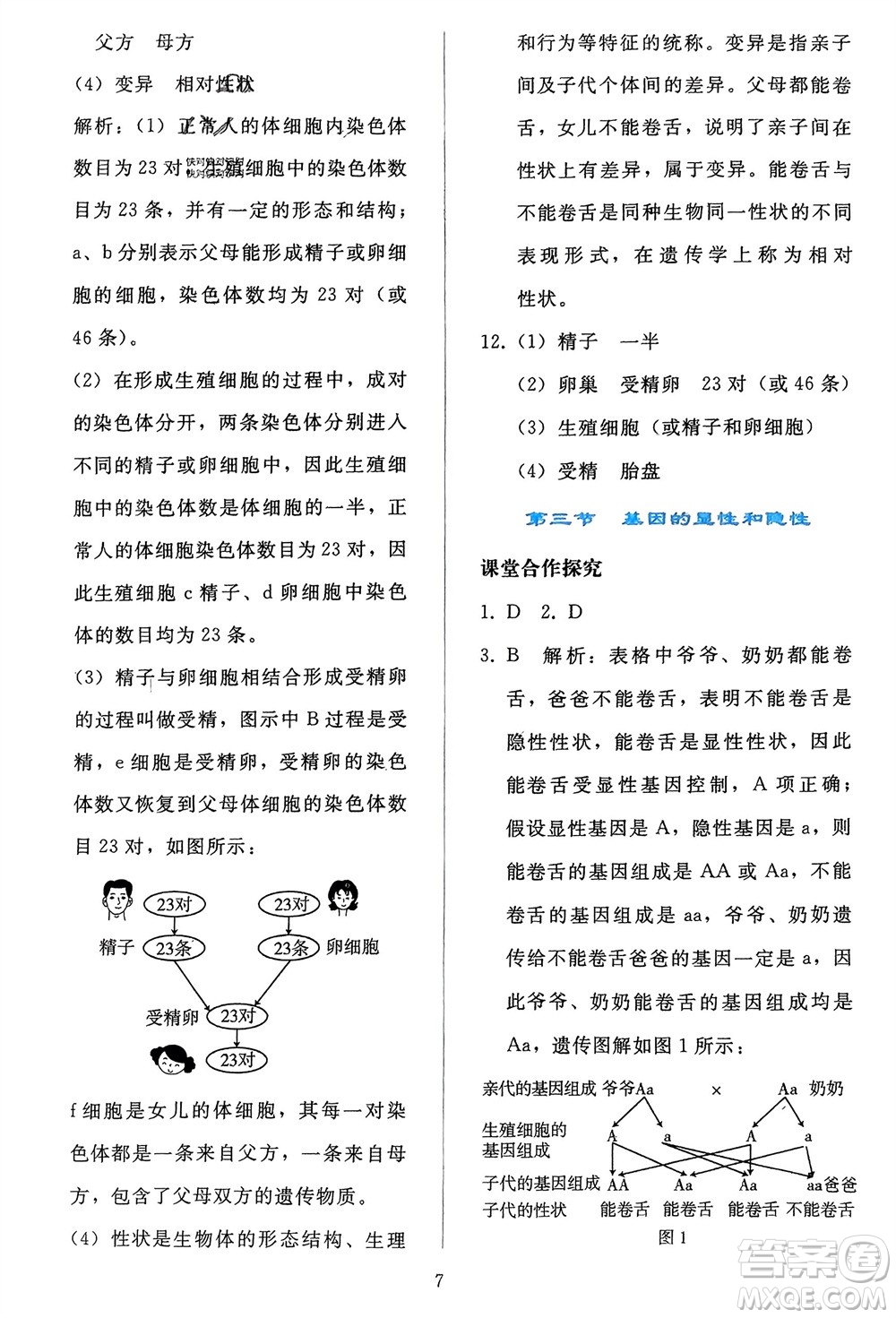 人民教育出版社2024年春同步輕松練習八年級生物下冊人教版參考答案