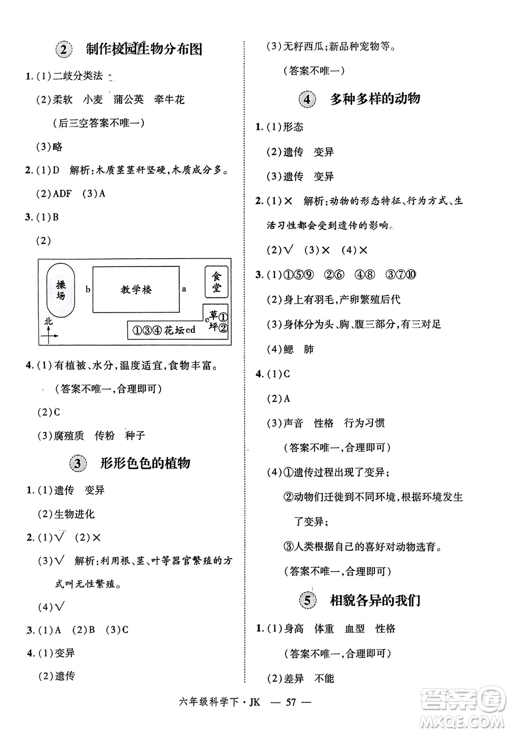 延邊大學(xué)出版社2024年春新領(lǐng)程六年級(jí)科學(xué)下冊(cè)教科版參考答案