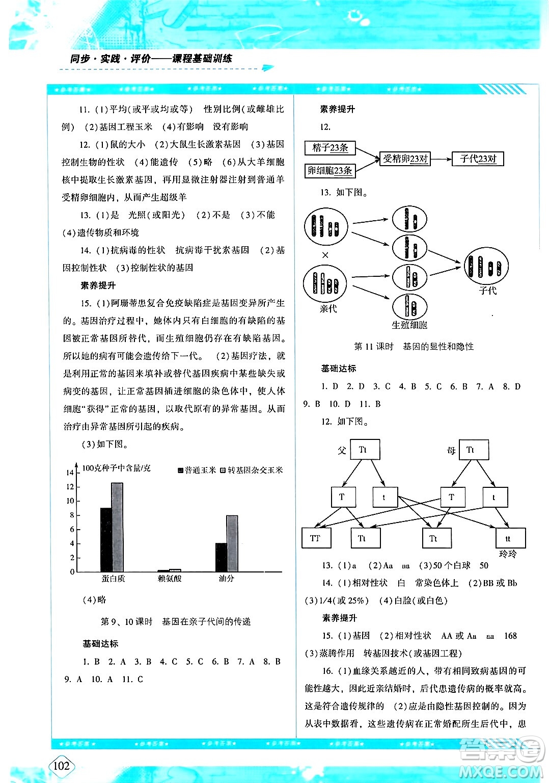 湖南少年兒童出版社2024年春同步實踐評價課程基礎(chǔ)訓練八年級生物下冊人教版答案