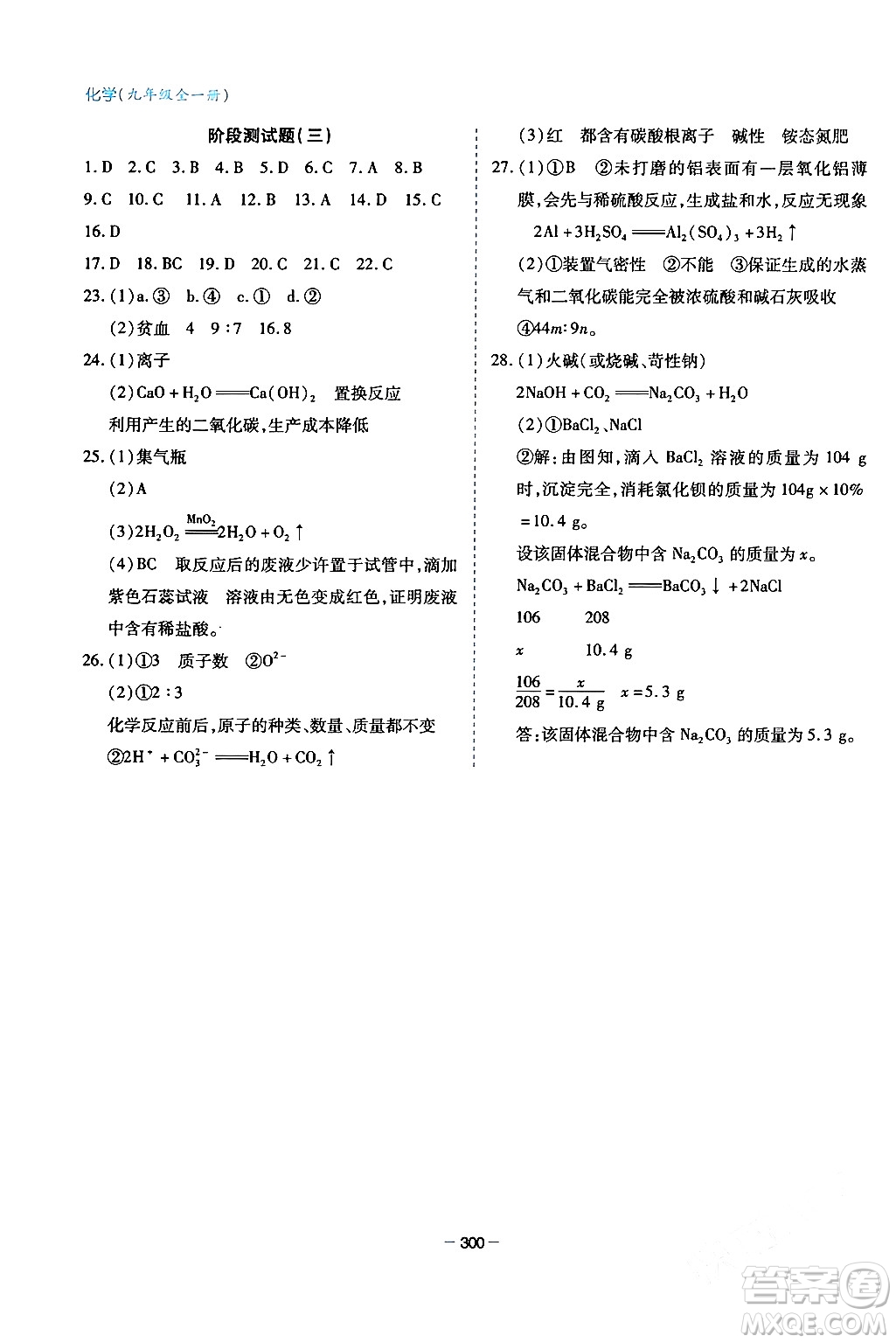 青島出版社2024年春新課堂學(xué)習(xí)與探究九年級化學(xué)下冊通用版答案