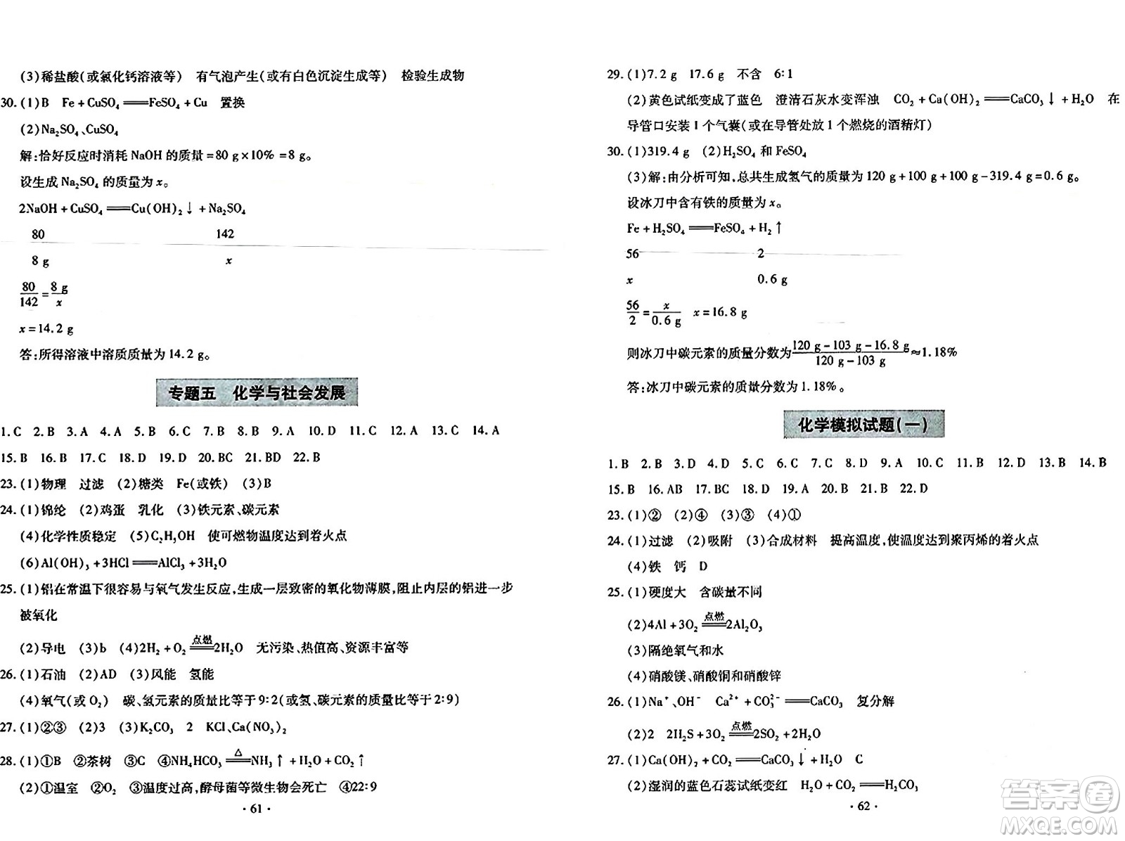 青島出版社2024年春新課堂學(xué)習(xí)與探究九年級化學(xué)下冊通用版答案