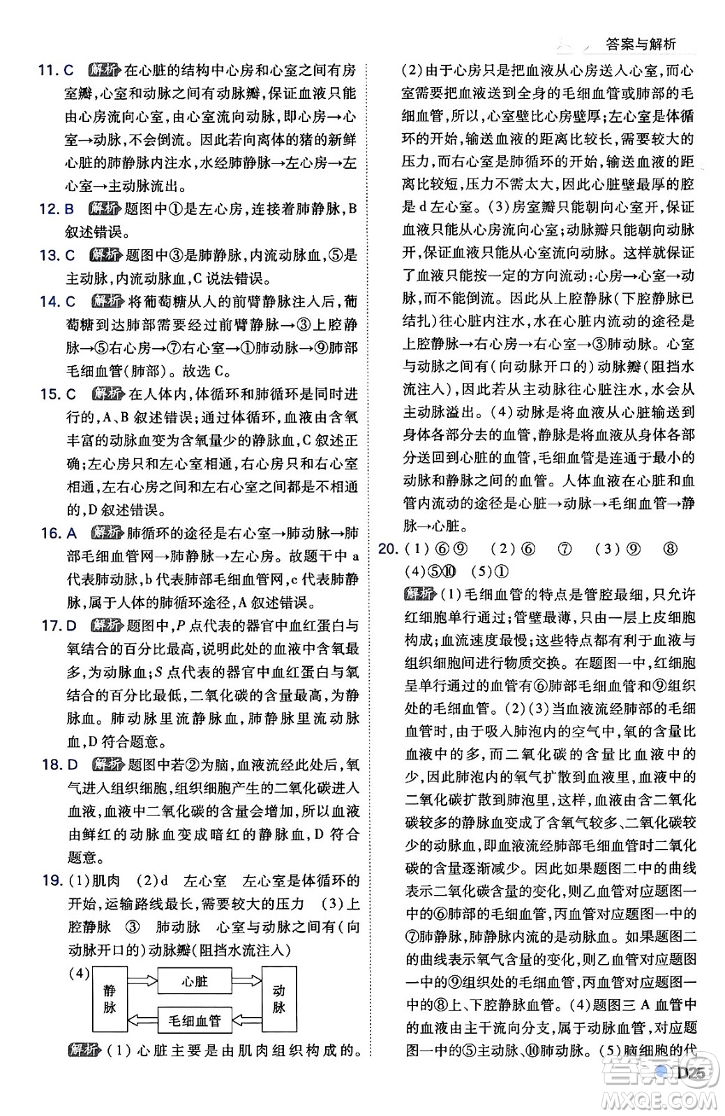 開明出版社2024年春少年班七年級生物下冊人教版答案