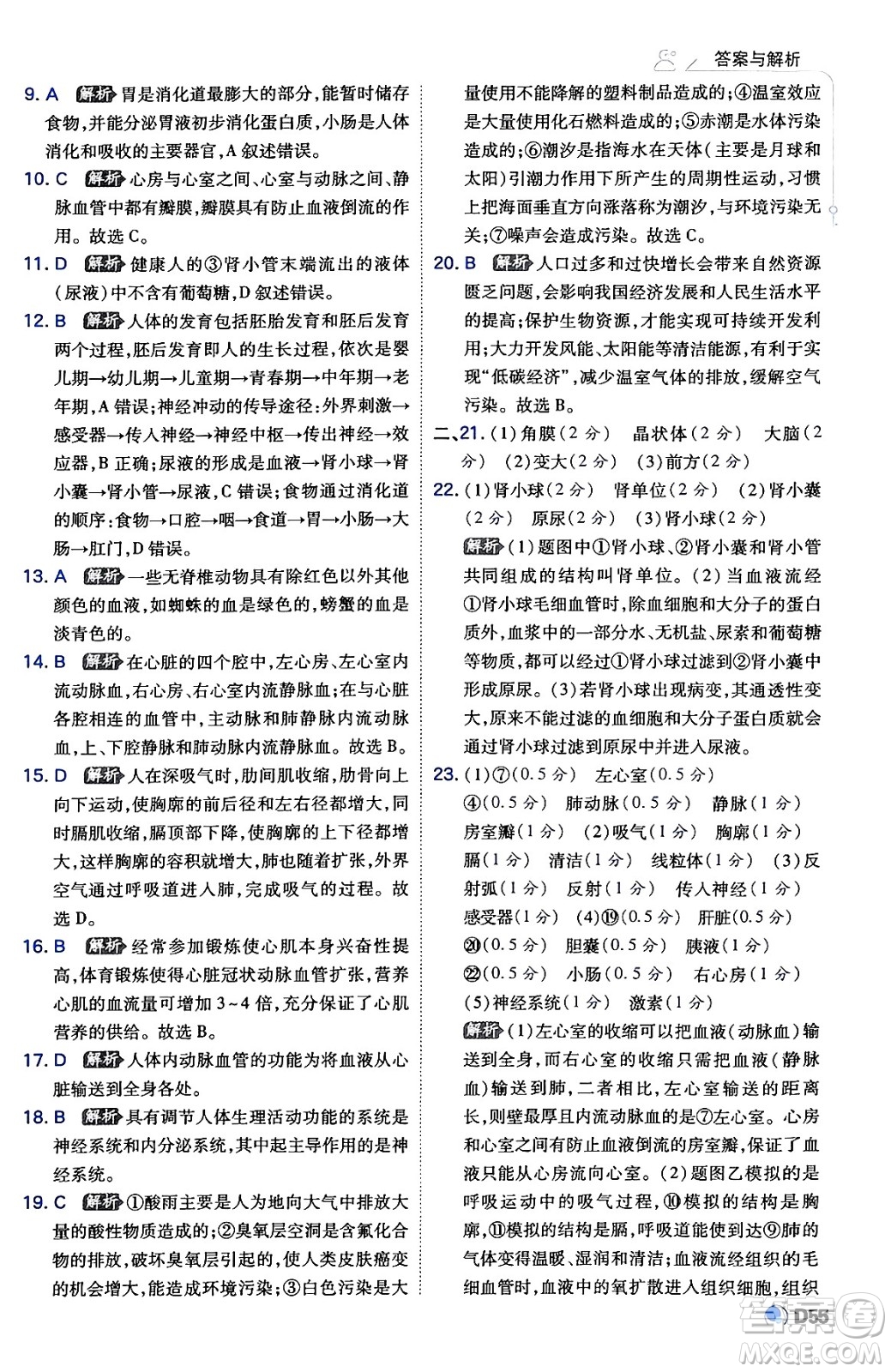 開明出版社2024年春少年班七年級生物下冊人教版答案