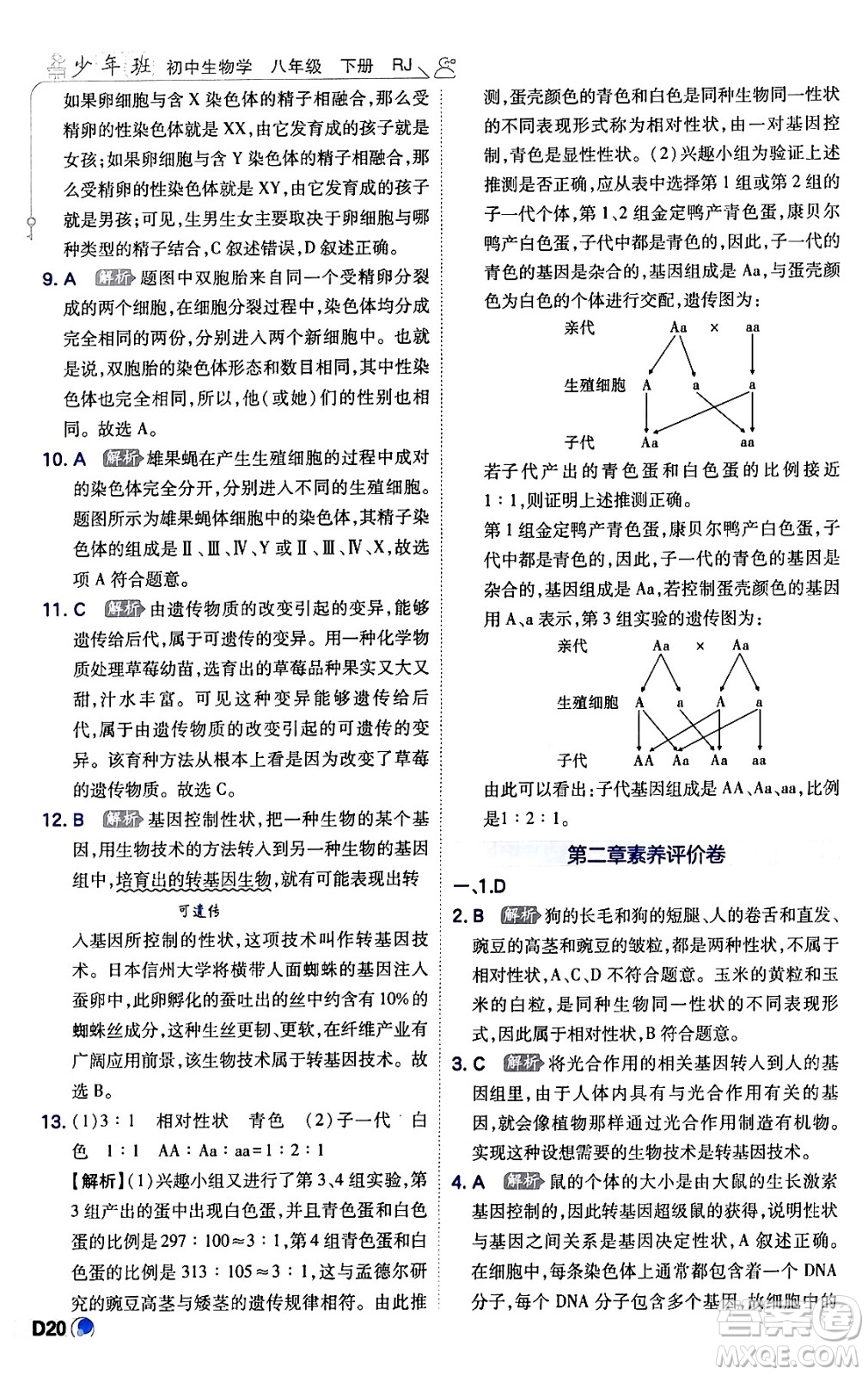 開明出版社2024年春少年班八年級生物下冊人教版答案