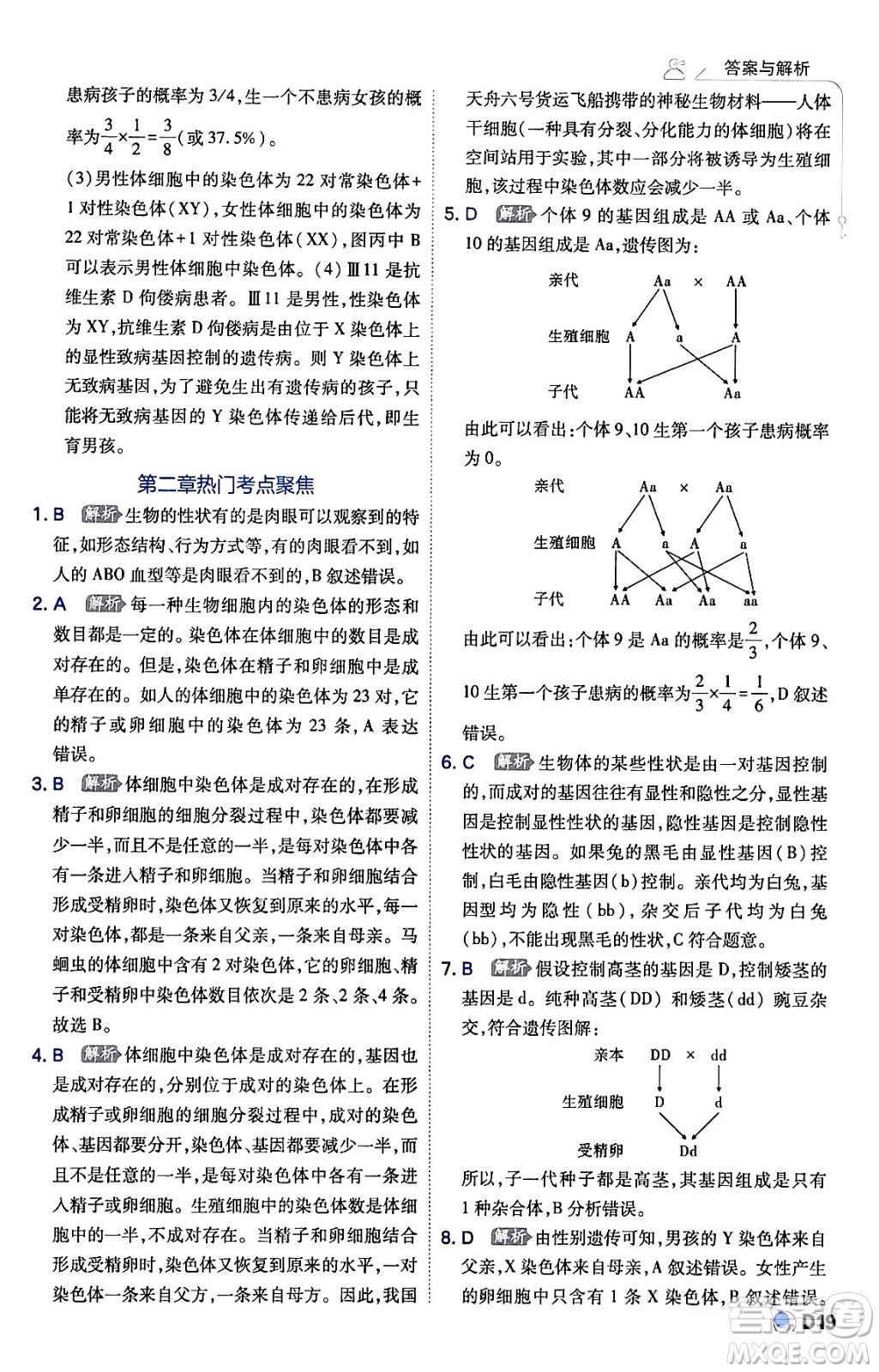 開明出版社2024年春少年班八年級生物下冊人教版答案