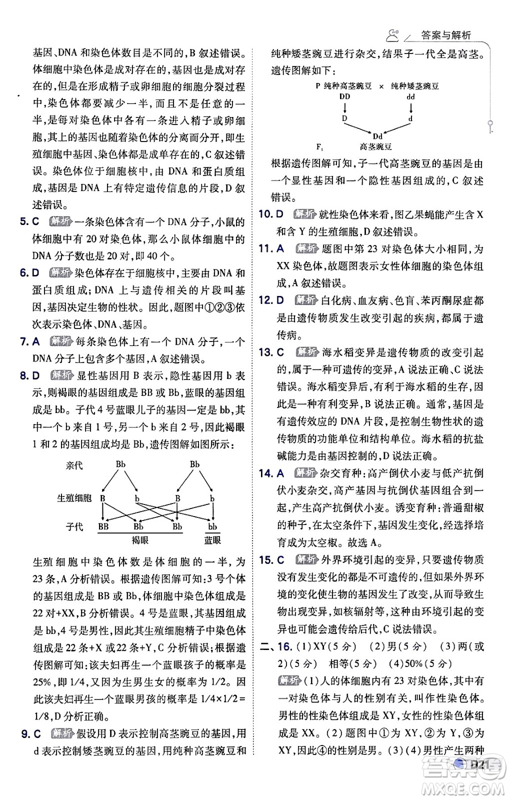 開明出版社2024年春少年班八年級生物下冊人教版答案