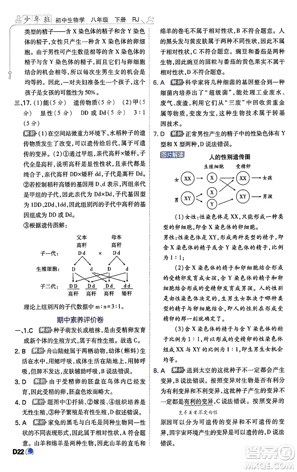 開明出版社2024年春少年班八年級生物下冊人教版答案